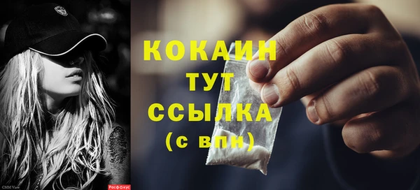 мет Лагань