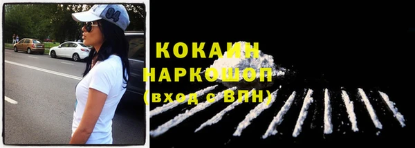 ГАЛЛЮЦИНОГЕННЫЕ ГРИБЫ Кукмор