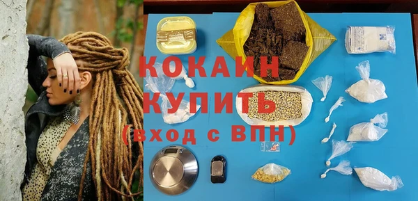 ГАЛЛЮЦИНОГЕННЫЕ ГРИБЫ Кукмор
