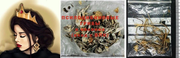прущая мука Ладушкин