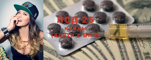 амф Кадников