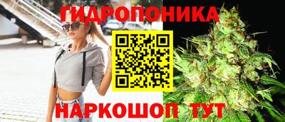 Альфа ПВП Ипатово