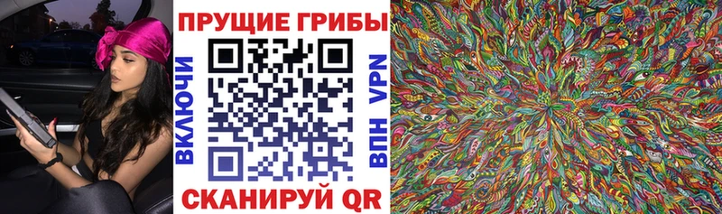 Галлюциногенные грибы MAGIC MUSHROOMS Можайск