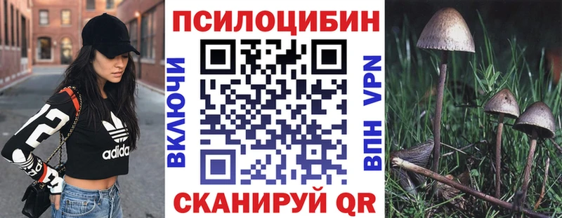 Галлюциногенные грибы Psilocybine cubensis  Можайск 